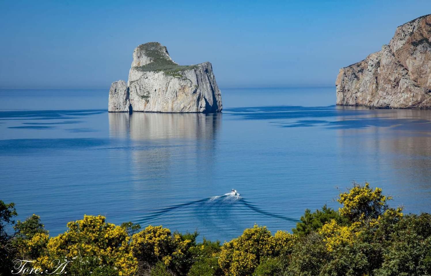 La Perla E Le Conchiglie Tanca Piras Vista Mare Villa Nebida Bagian luar foto